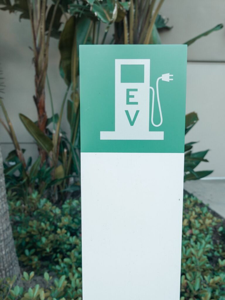 Are There Government Policies Driving The Growth Of The EV Industry In 2024?